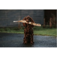 Anco Naturals Giant Beef Stick